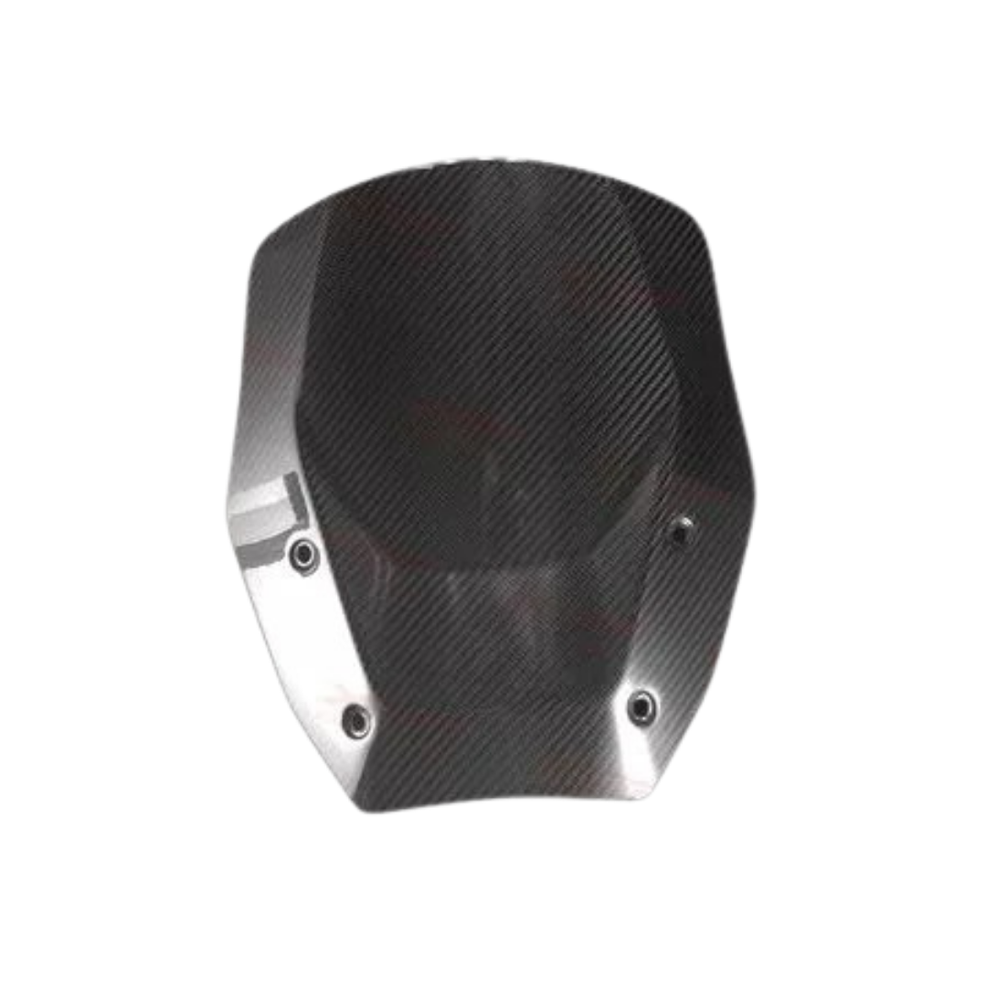 X-TOP CARBON BM391 WINDSCREEN FOR BMW R1300GSA