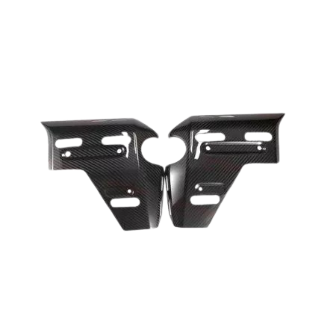 X-TOP CARBON BM379 SIDE PANEL FOR BMW R1300GSA